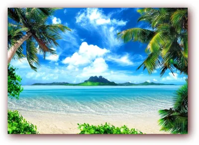 Produktbild von XXL Poster 100 x 70cm (SF206) magical  / Insel Küste Palmen Strand, weißer Sand, blauer Himmel (Lieferung gerollt!)