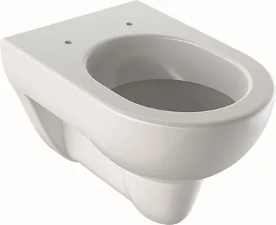 Immagine prodotto di Geberit Renova Nr.1 WC à rinçage profond, 203040600, 203040600