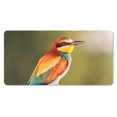 Produktbild von MuchoWow® Mauspad Mousepad Vögel - Bienenfresser - Regenbogen - Tiere 60x30 cm - Mousepads - Maus Mat - Pad - Mausunterlage - Nachhaltig