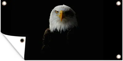 Produktbild von MuchoWow® 160x80 cm Outdoor-Poster Gartendeko Sichtschutz Garten Poster für den Garten  Adler - Vogel - Schwarz