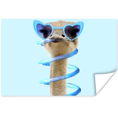 Produktbild von MuchoWow® Poster Strauß - Sonnenbrille - Blau - Tiere 60x40 cm - Schlafzimmerdekoration