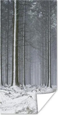 Produktbild von MuchoWow® Poster Bäume - Winter - Schnee 60x120 cm - Wandschmuck