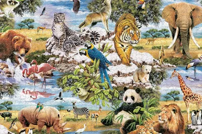 Zdjęcie produktu dla King Animal World Wild Animal 1000 pcs, 1000 szt., Fauna, 8 lat(a)
