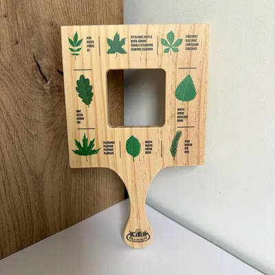 Image de Cadre d'exploration feuilles
