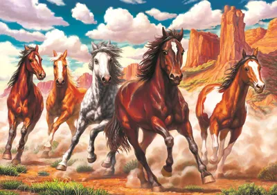 Produktbild von ART PUZZLE Puzzle Wildpferde im Tal 1000 Teile