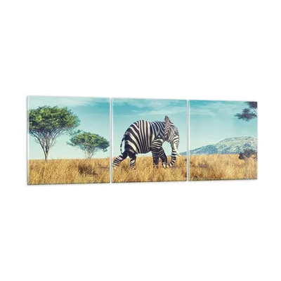 Produktbild von Bilder auf glas - 3 Teile - Surreal Elefant Rippen - 150x50cm - Glasbilder - Wandbilder - Bilder - zum Aufhängen bereit - Wanddekoration aus Glas - Glas Bilder - Wandbild auf Glas - GCA150x50-4717