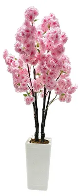 Immagine prodotto di Albero di ciliegio artificiale - Realistico - Fiori in seta - In vaso - Per interni - 150 cm - Rosa