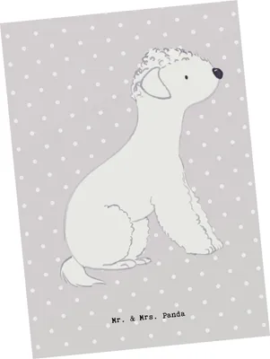 Produktbild von Mr. & Mrs. Panda Postkarte Bedlington Terrier Lebensretter - Grau Pastell - Geschenk, Postkarten, Ansichtskarte, bildkarte, Grußkarte, Ansichtskarten