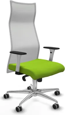 Immagine prodotto di Bürostuhl Piqueras y Crespo B1B086G Pistazienfarben