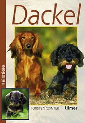 Immagine prodotto di Dackel (Heimtiere)