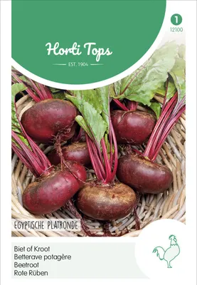 Produktbild von Rote Rüben Ägyptische Plattrunde | Rübensamen von Hortitops