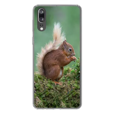 Produktbild von MuchoWow® Handyhülle Schutzhülle Hülle für Huawei P20 Eichhörnchen - Wald - Moos Silikon Softcase Handy Hülle - Hardcover
