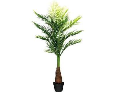 Produktbild von Kunstpalme Goldfruchtpalme H 140 cm grün