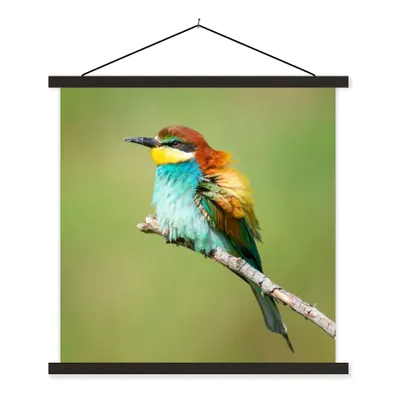 Produktbild von MuchoWow® Textilposter Vogel - Tiere - Bienenfresser 90x90 cm mit schwarzem Rahmen - Magnetisches