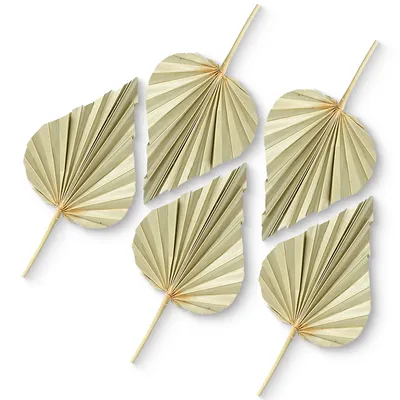 Produktbild von Deko Palmspeere Naturdeko Bastelmaterial Gestecke natur 5er Set 11-13 cm