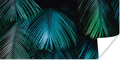 Produktbild von MuchoWow® Poster Dschungel - Palme - Grün - Blau 40x20 cm - Poster für die Wand - Poster Schlafzimmer