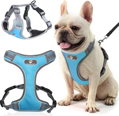 Immagine prodotto di Pettorina per cani ASTRO blu, taglia M