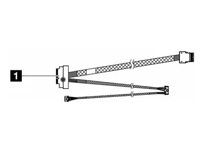 Produktbild von Lenovo - Speicherkabelkit - für M.2 NVMe 2-Schacht RAID