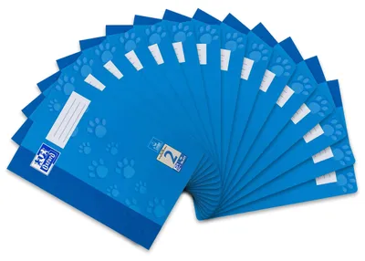 Image de Cahier d'écriture A4 linéature 2 16 feuilles paquet de 15 pièces