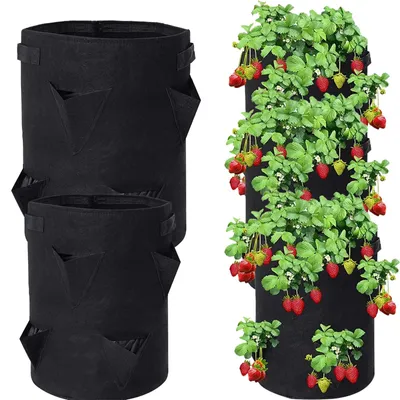 Immagine prodotto di 2 sacchi per piante, sacchi per piante di fragole da 18 litri con maniglie, ideali per ortaggi