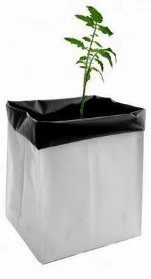 Image de Herbgarden Pot de culture en plastique flexible 12L