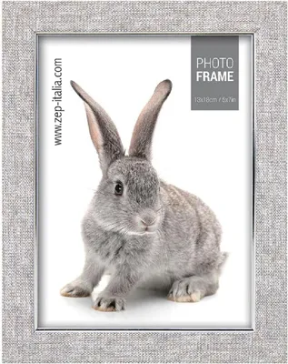 Produktbild von Zep fotorahmen az146 doneck b 10x15 cm