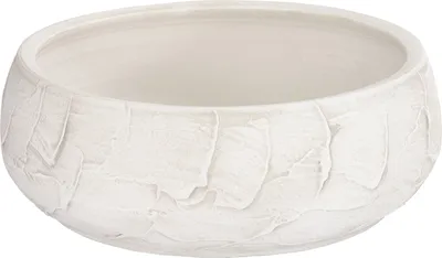 Produktbild von Dehner Pflanzschale Alessio, Ø 23, Höhe 10 cm, Keramik, creme
