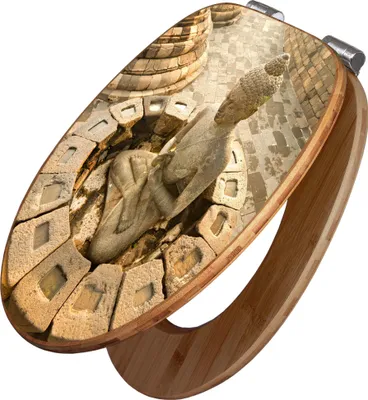 A toilet seat with a printed image of a Buddha statue.