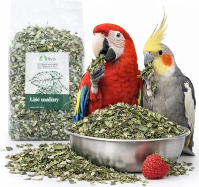 Zdjęcie produktu dla Liść maliny dla papug - naturalny dodatek roślinny | 150 g