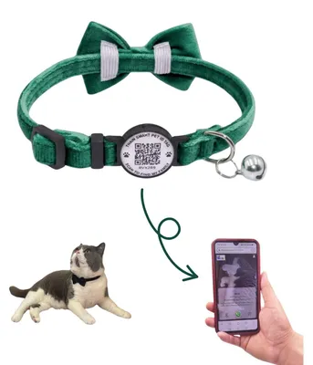 Immagine prodotto di Collare per gatti con campanello e fiocco, personalizzabile, regolabile, per gatti