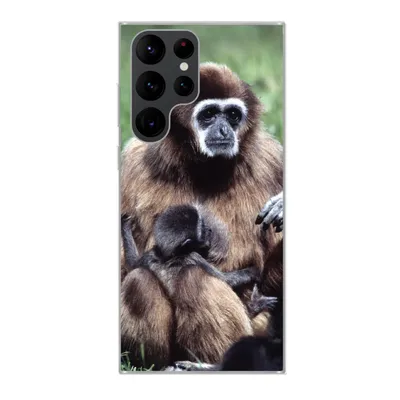 Produktbild von MuchoWow® Handyhülle Schutzhülle Hülle für Samsung Galaxy S22 Ultra Affe - Pflanzen - Jung Silikon Softcase Handy Hülle - Abbildung