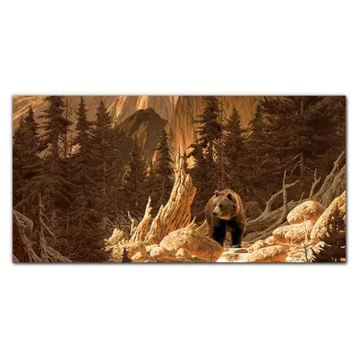 Produktbild von Coloray Bild aus Leinwand 120x60 Leinwand Dekoration - Bärenbergwald Natur