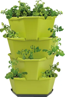 Artikelbild 1 von 'PAUL POTATO Kartoffelturm Starter Set grün (4 Etagen)'