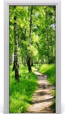 Produktbild von Tulup Türaufkleber 95x205 cm Dekorative Aufkleber Selbstklebend Wasserdichte Tapete Abnehmbar Schlafzimmer Wohnzimmer Wohnkultur - Birkenwald