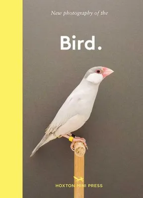 Image de Bird.