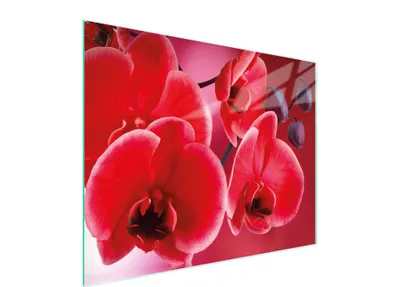 Obrázok produktu pre Sklenená doska na krájanie 52x40 Orchidea