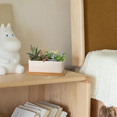 Image de Pot de fleurs décoratif en céramique de 17 cm avec support en bambou blanc, lot de 2, pot pour cactus, pot décoratif, coupe à fleurs, cadeau d'anniversaire et de mariage