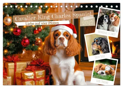 Produktbild von Cavalier King Charles Spaniel - Liebe auf vier Pfoten (Tischkalender 2027 DIN A5 quer), CALVENDO Monatskalender