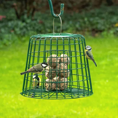 Produktbild von CJ Wildlife Meisenknödelhalter - 2-in-1 Schutzkäfig - Metall, grün - für bis zu 10 Meisenknödel & Fettfutter - aufhängbar, schützt vor großen Vögeln