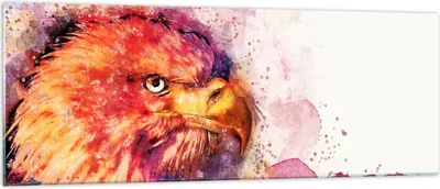 Produktbild von Bilder auf glas - Adler Vogel Feder - 140x50cm - Glasbilder - Wandbilder - Kunstdruck - zum Aufhängen bereit - Wanddekoration aus Glas - Glas Bilder - Wandbild auf Glas - Einteilig - GAB140x50-4054