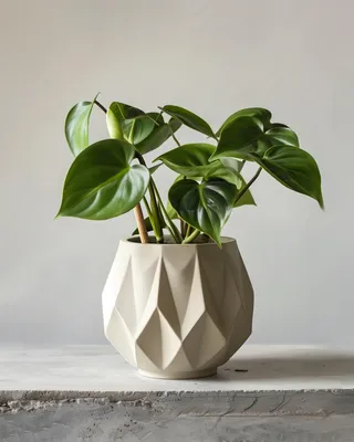 Geometrischer 3D-gedruckter Pflanztopf – Decords, Produktansicht 1