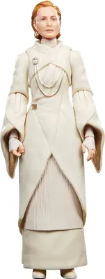 Produktbild von Star Wars The Black Series F55305X0, Actionfigur zum Sammeln, Film & TV-Serien