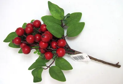 Produktbild von Künstlicher Beerenpick rot-grün ca.26cm