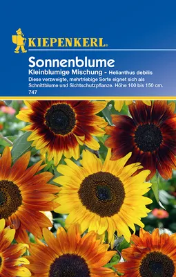 Produktbild von [STREICHUNG 2025] Sonnenblume Kleinblumige Mischung | Sonnenblumensamen von Kiepenkerl