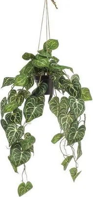 Immagine prodotto di Pianta artificiale Anthurium Clarinervium Ø80cm - pianta verde artificiale per