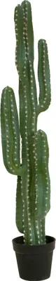 Obrázek produktu pro EUROPALMS Mexický kaktus, umělá rostlina, zelená, 123cm (82801072)