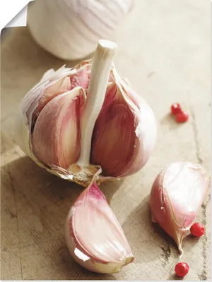 Produktbild von ARTland Poster Frisches aus der Knoblauch Knolle Größe: 45x60 cm