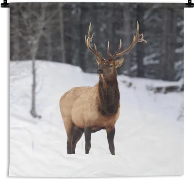Produktbild von MuchoWow® Wandteppich Wandbehang Rotwild - Schnee - Winter 90x90 cm Tapisserie Dekoration Wandtuch - Wandaufhänger