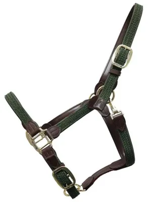 Image de Kentucky Horsewear Stallhalfter Plaited Nylon Halfter Nylonhalfter Olive Green Cob