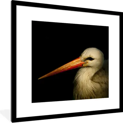 Produktbild von MuchoWow® Gerahmtes Poster Vogel - Schnabel - Federn 40x40 cm - Poster mit Schwarzem Bilderrahmen Wandposter Rahmen Foto Bilder - Poster - Plakat im Rahmen
